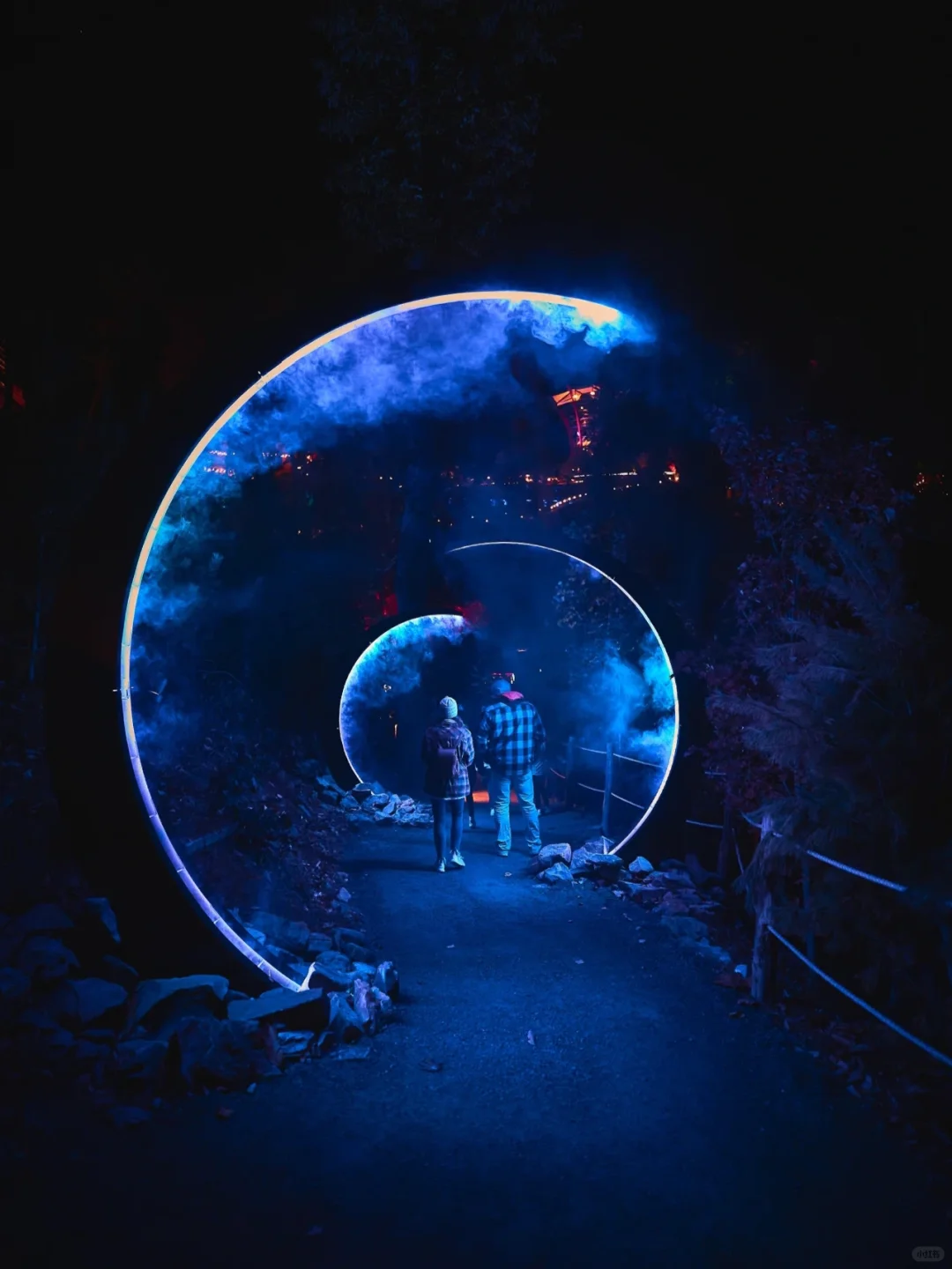 🇺🇸 Immersive Outdoor 'Night Walk' Experience | Interactive Light Installations