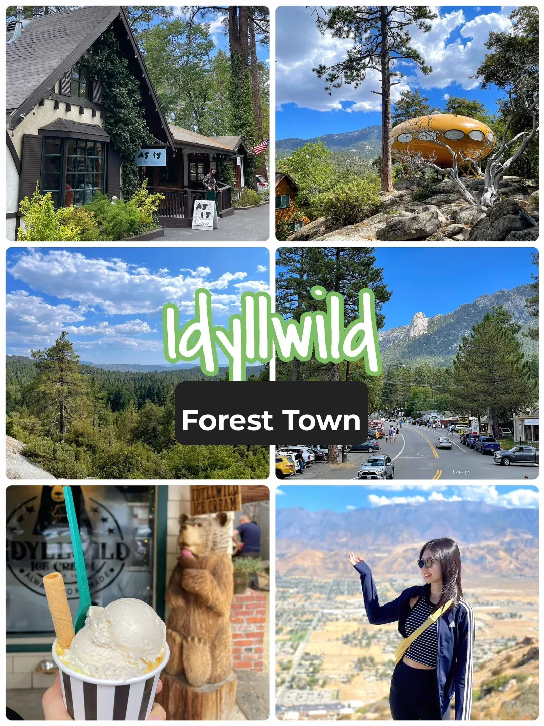 LA Weekend | Idyllwild 🌲 Forest Town Day Trip Guide 🐾