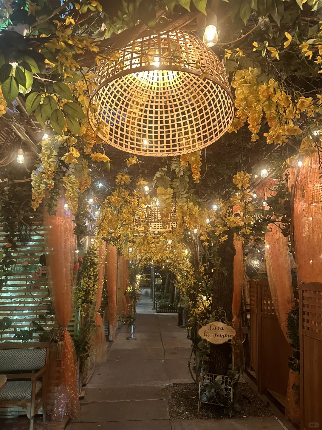 NYC| Live Belly Dance at a Romantic Egyptian Restaurant 💃🏼