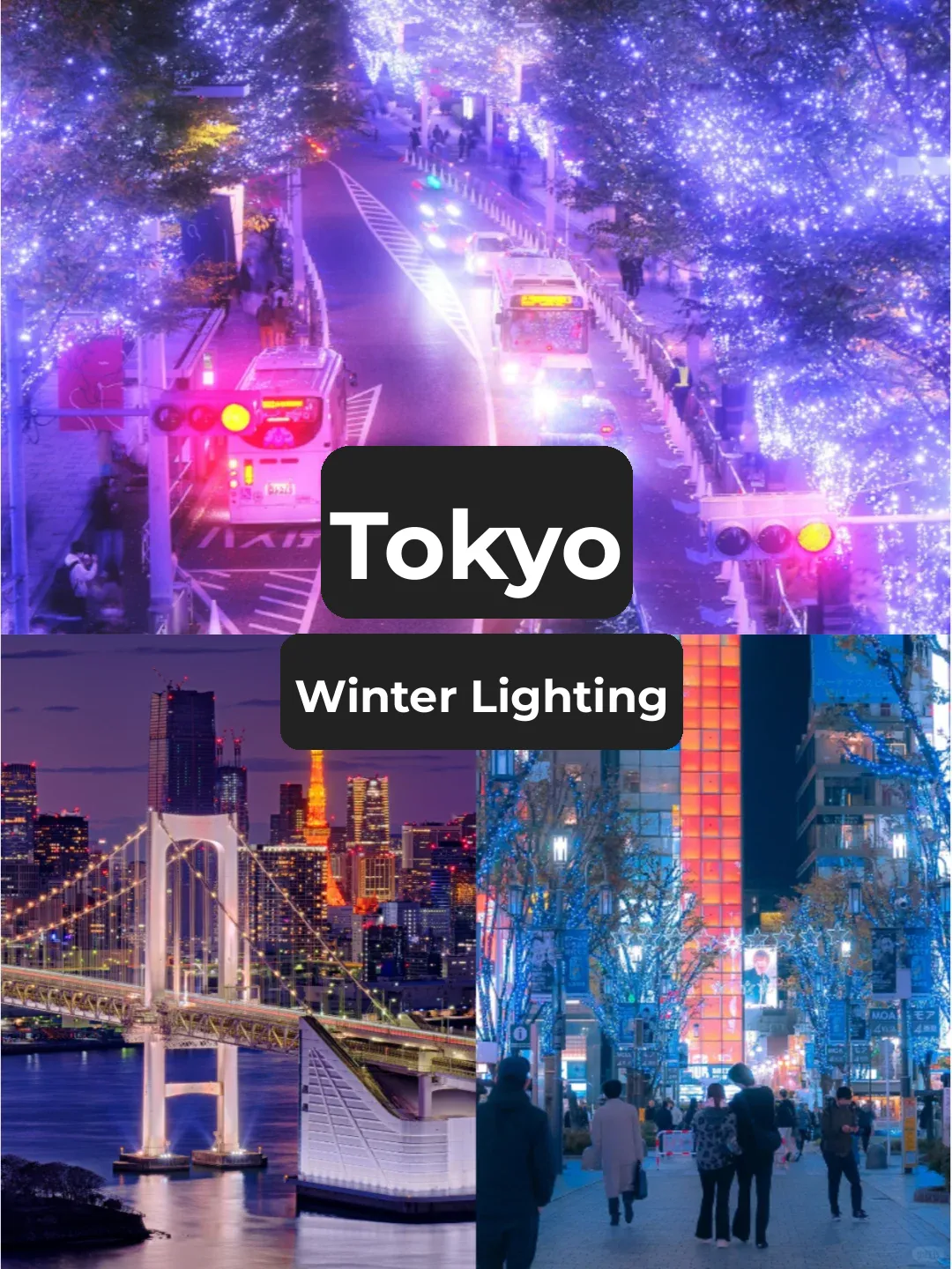 🇯🇵 Must-See Illumination Events and Light Festival Guide for New Year's in Tokyo