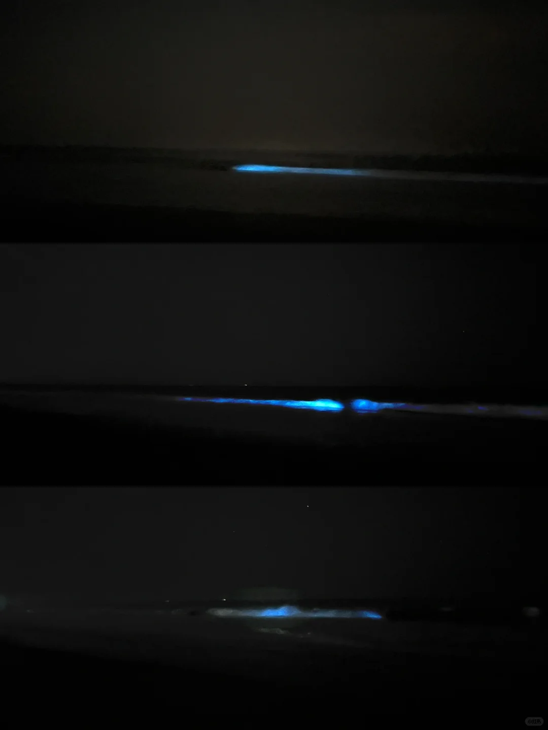 Los Angeles | Are There Really LA Locals Who Haven't Seen the Blue Tears Yet?