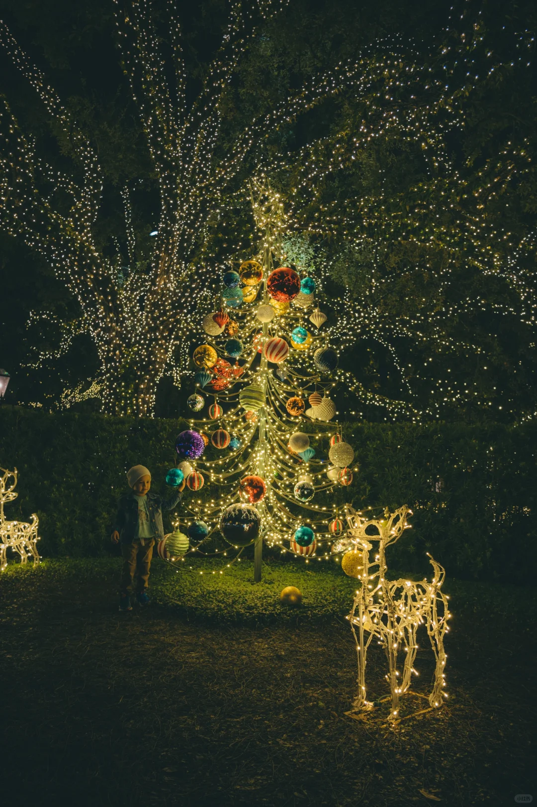 Houston | River Oaks Christmas Lights