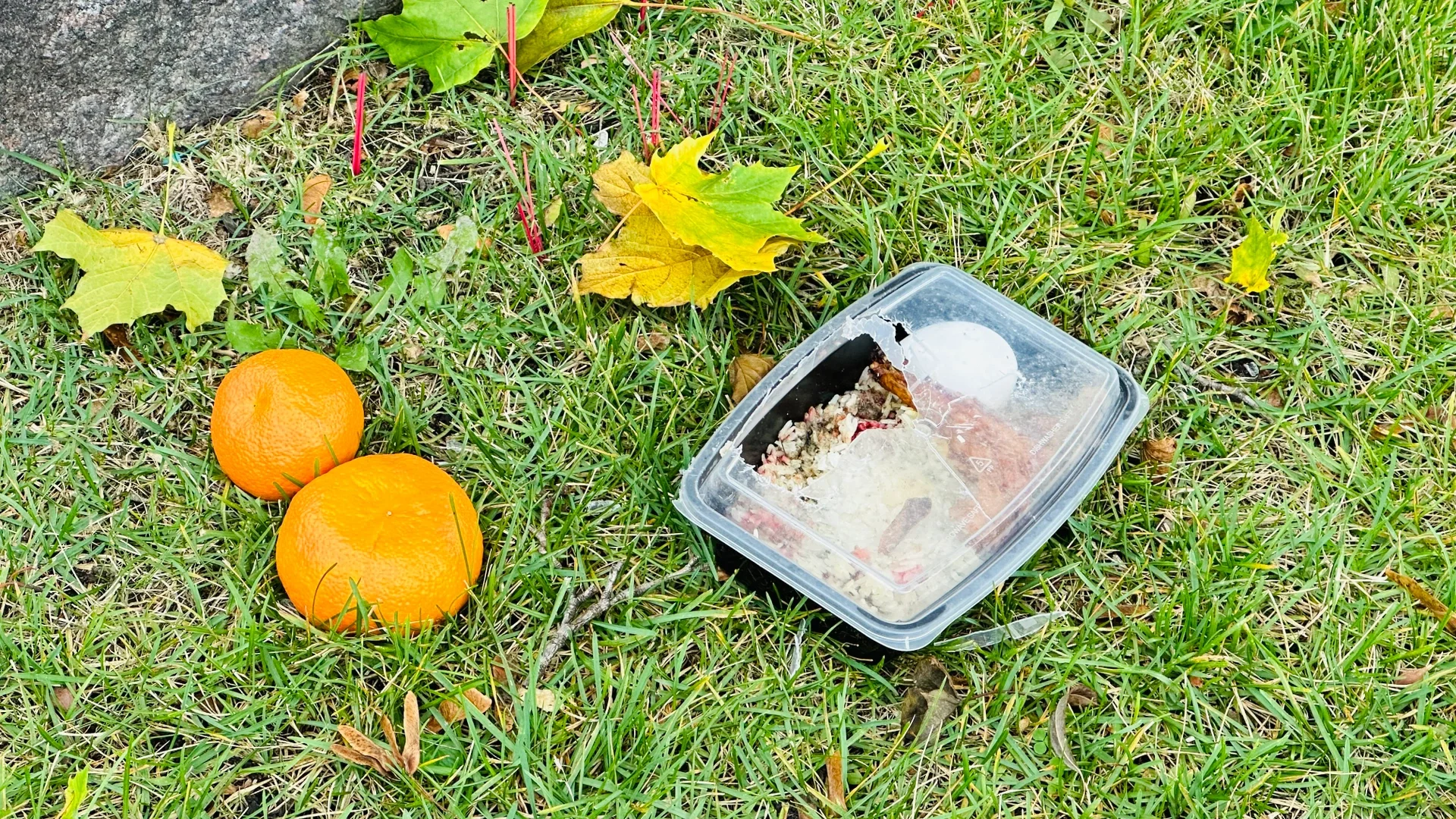 Chicago | What Can You Still Do After Cutting Back on Spending? #86