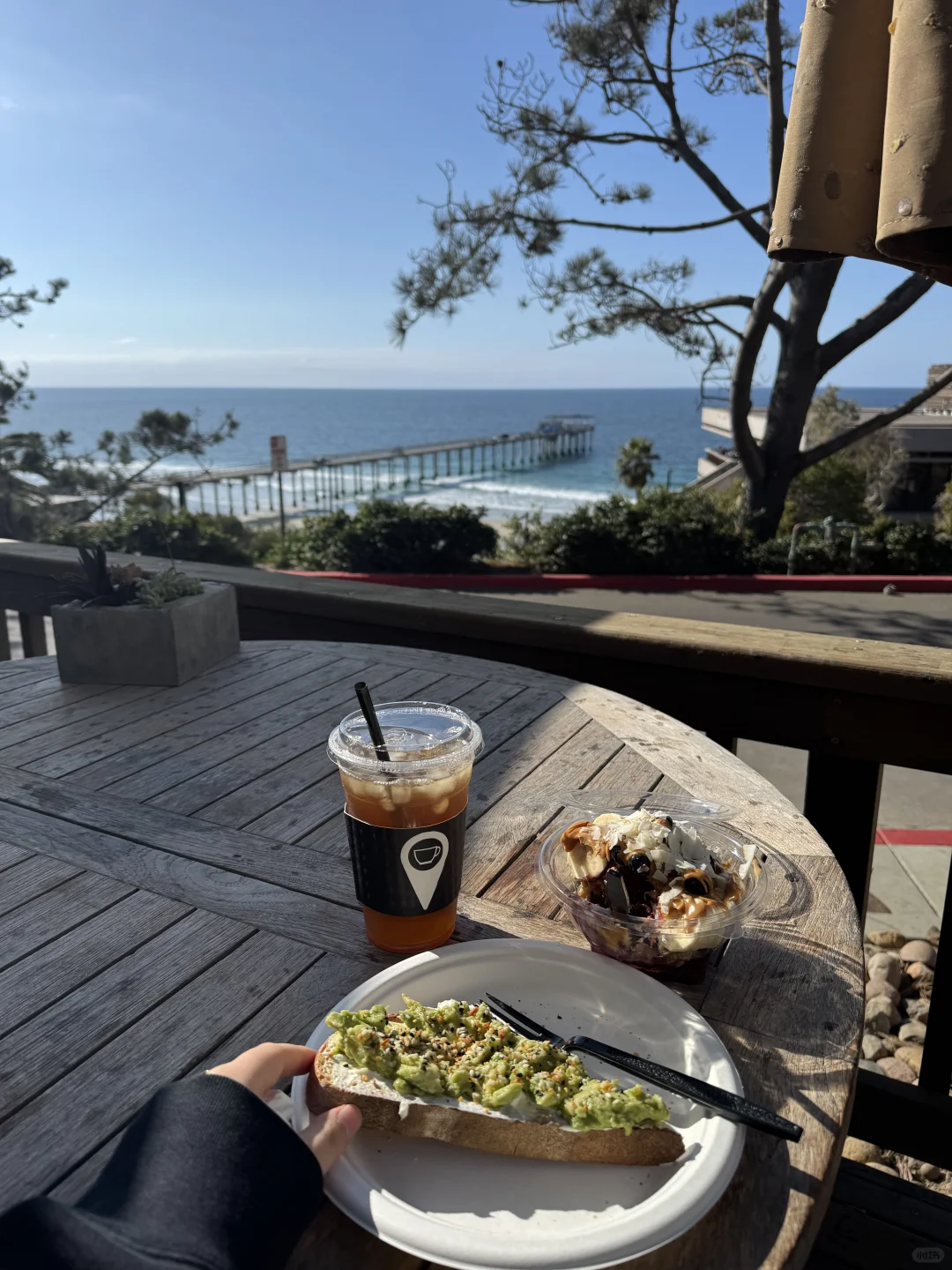 Must-Visit Beachside Cafe in San Diego!