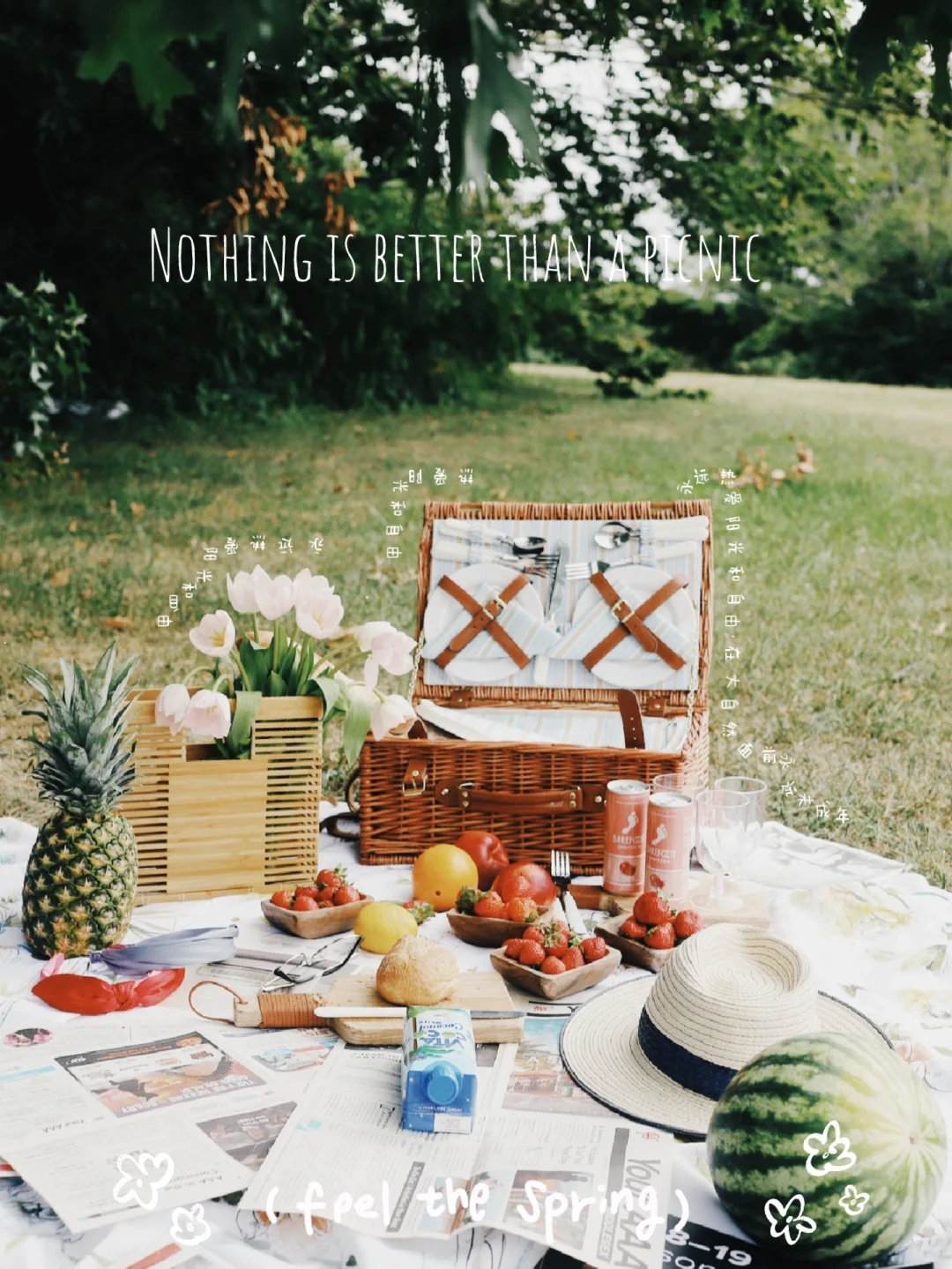 Boston｜I Think I’ve Cracked the Code to the Perfect Picnic Vibe