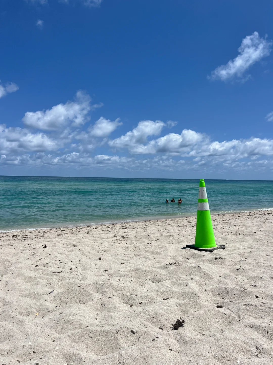 "Option Beach in Miami: Nude or Not, It's Your Choice!"