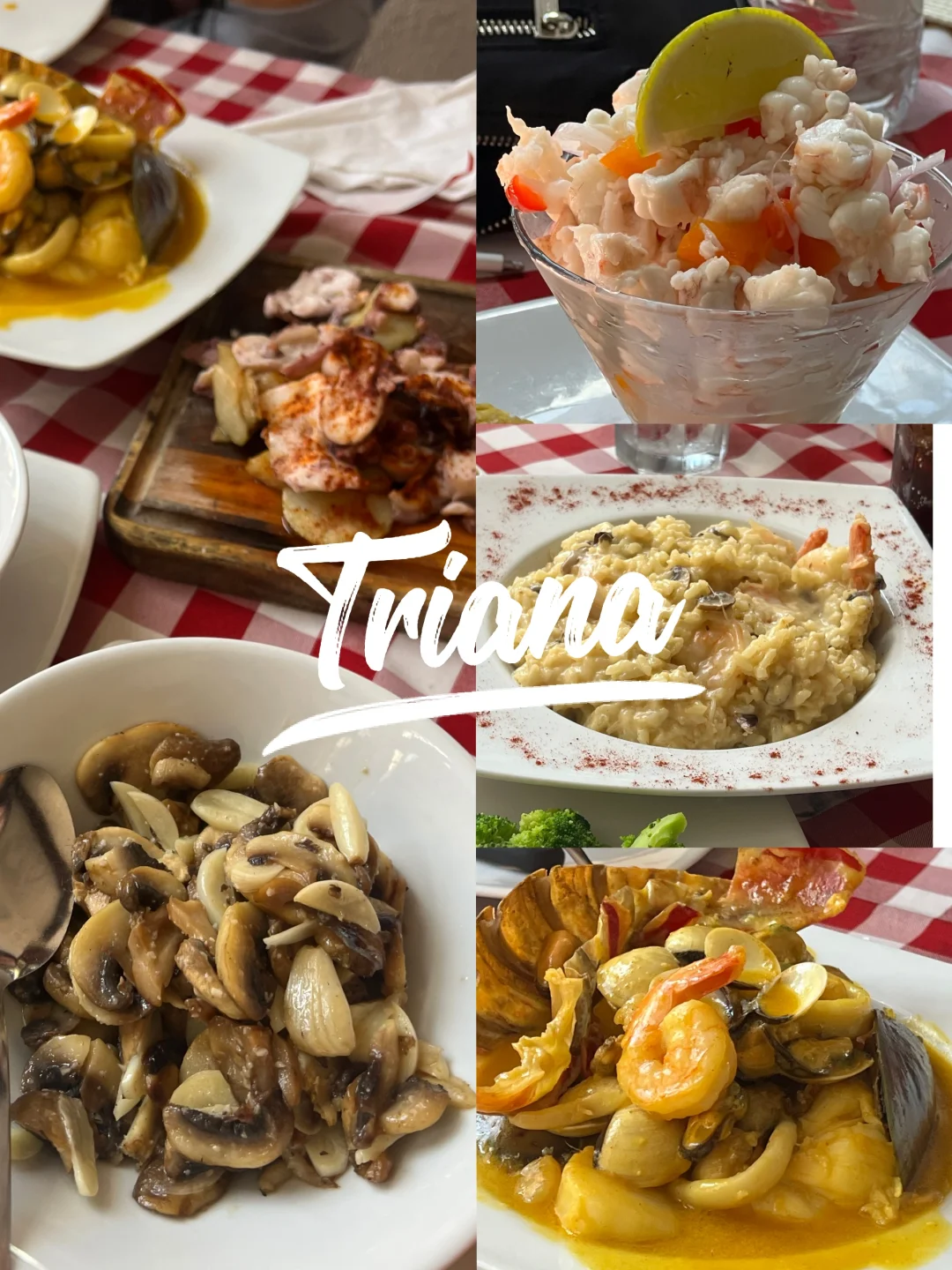 Puerto Rican Cuisine | Those Who Don’t Know Puerto Rican Food Are Missing Out!