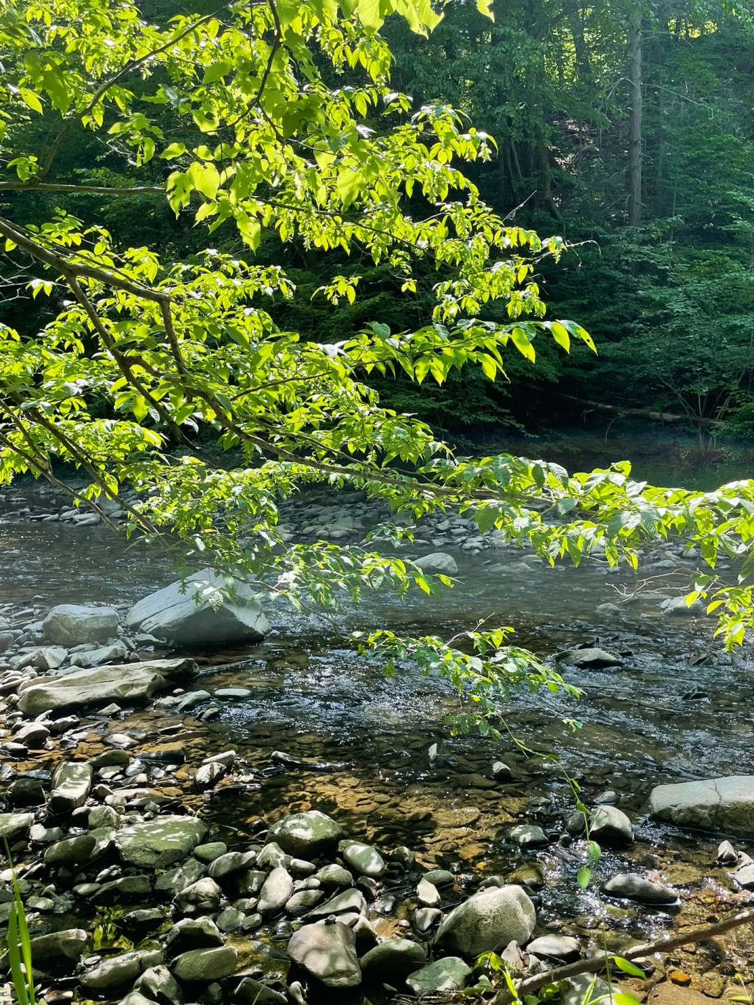 【NYC Area】Stunning Hannacroix Creek