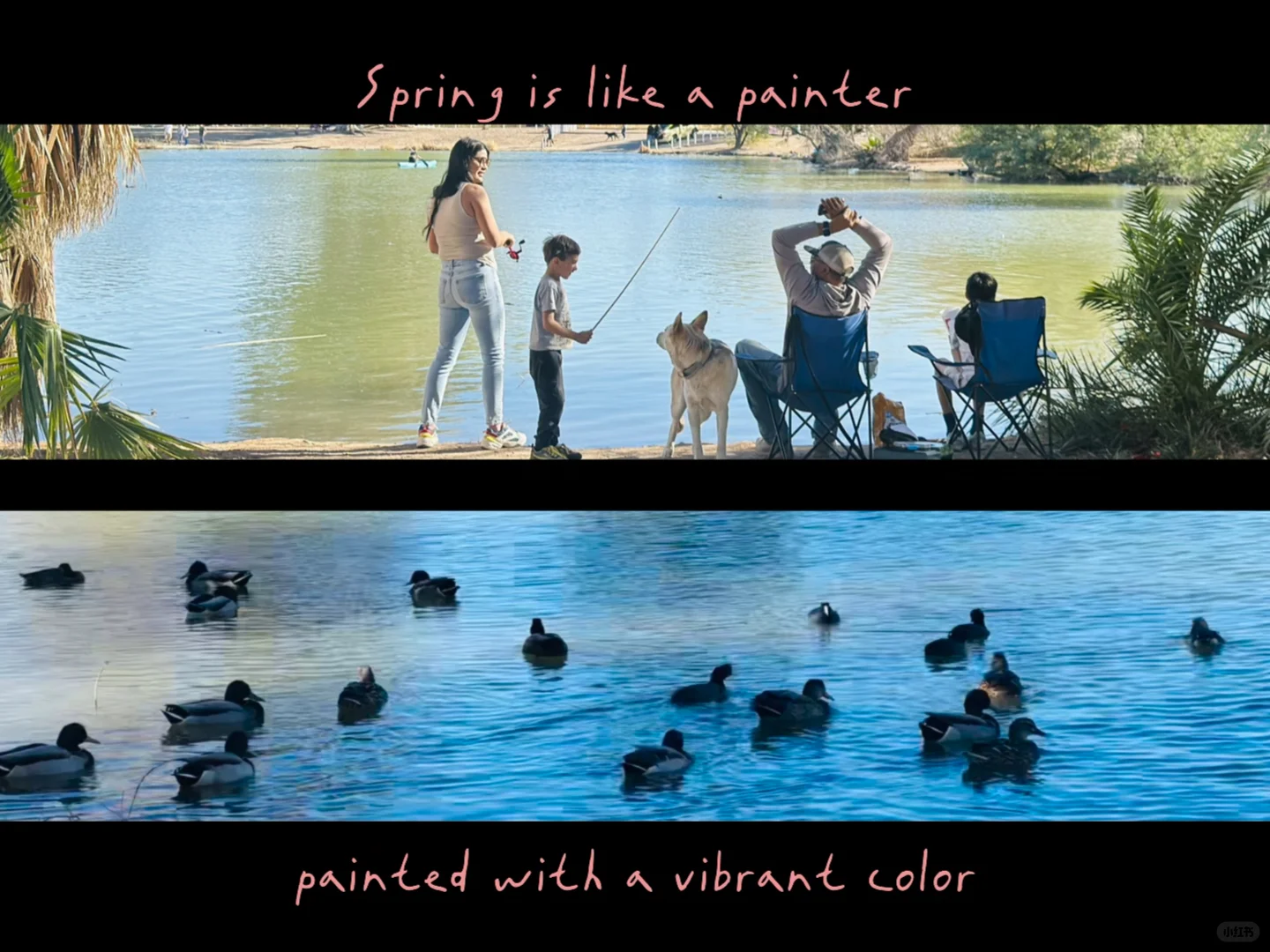 Tucson | 👣 If you also love chasing water everywhere, this is the place for you