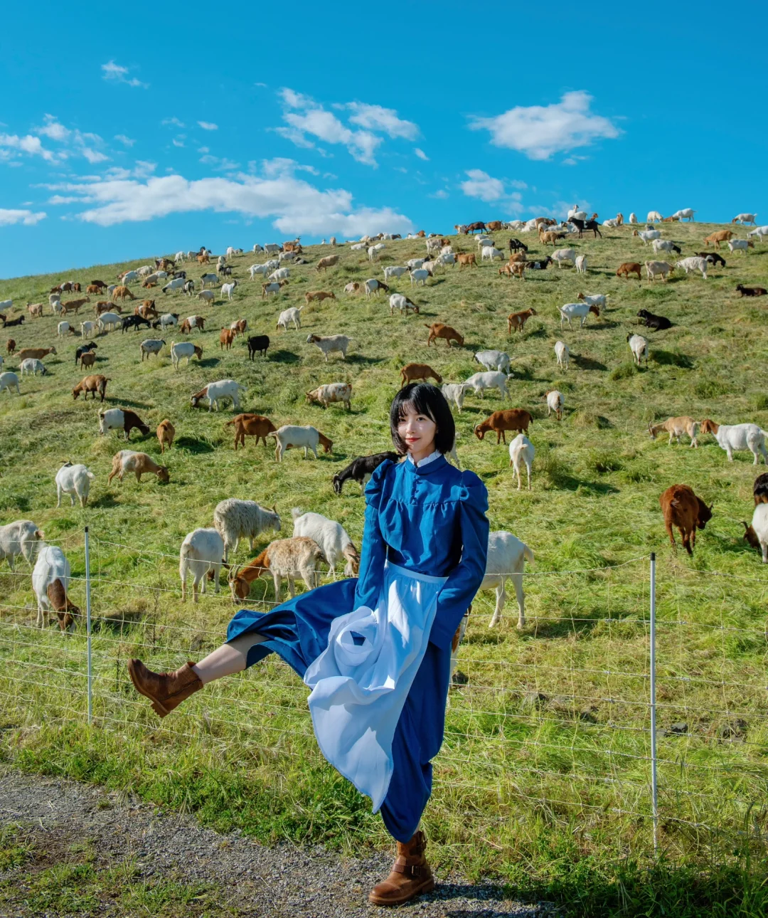 The Most Miyazaki-Esque Trail in the Bay Area!