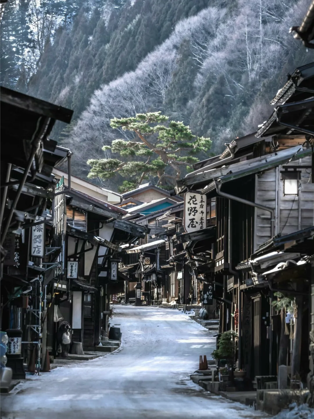 🇯🇵 A Winter Destination in Japan Even More Worth Visiting Than Hokkaido: Nagano