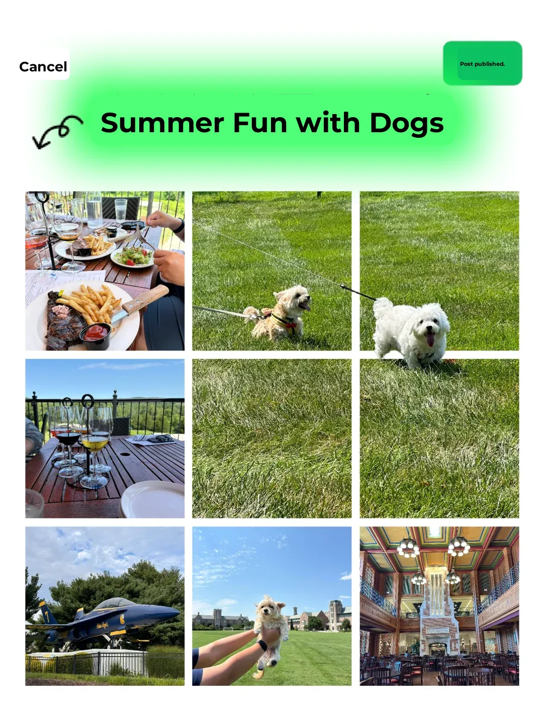 Two Days and Two Nights: A Dog-Friendly Road Trip to St. Louis