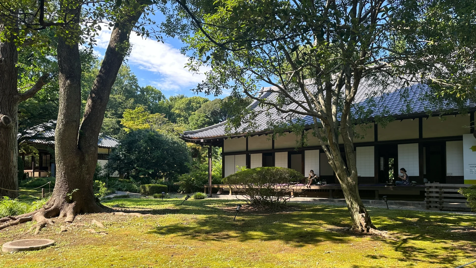 Tokyo Ueno Park Live Shots Prove It's Totally Worth the Visit!