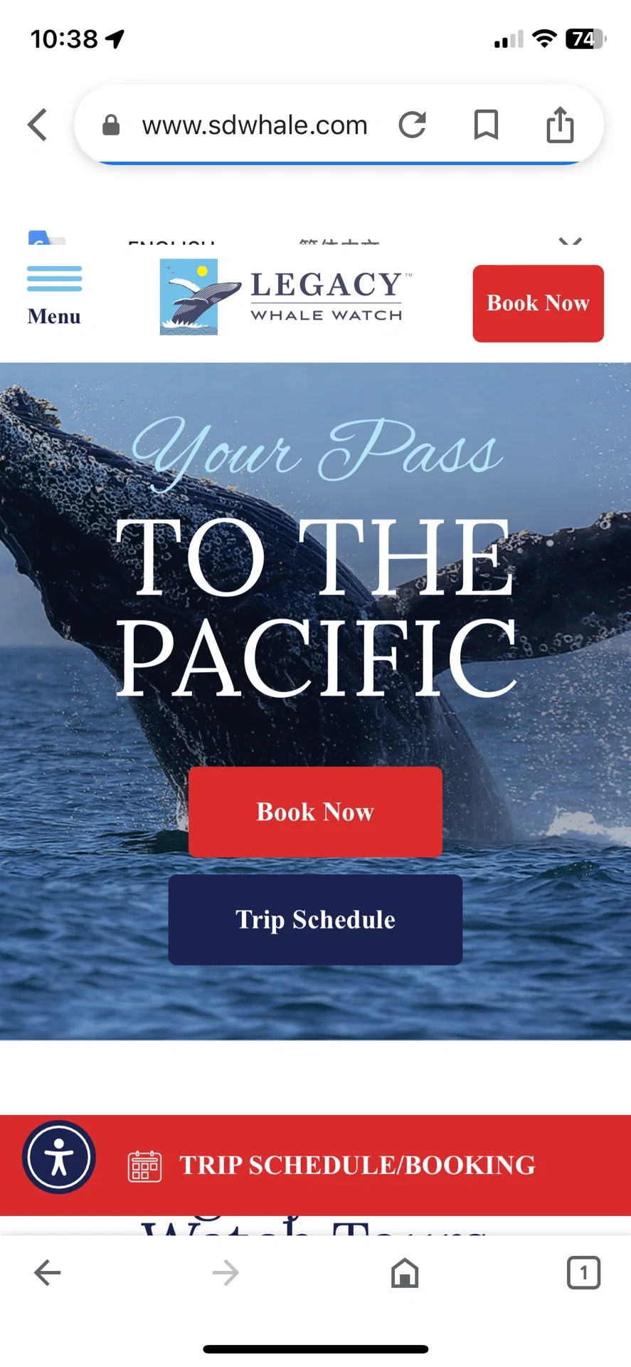 🐋 Chasing Whales in San Diego - Legacy Whale Watch  

**Translation Notes:**  
- "追鲸" is translated as "Chasing Whales" to match the adventurous tone of whale watching.  
- "Legacy Whale Watch" is kept in English as it appears to be a proper tour name.  
- Emoji retained for visual consistency.  

**Alternative version:**  
🐋 San Diego Whale Watching Tour - Legacy Whale Watch  

*(Generated translation will vary slightly per request while