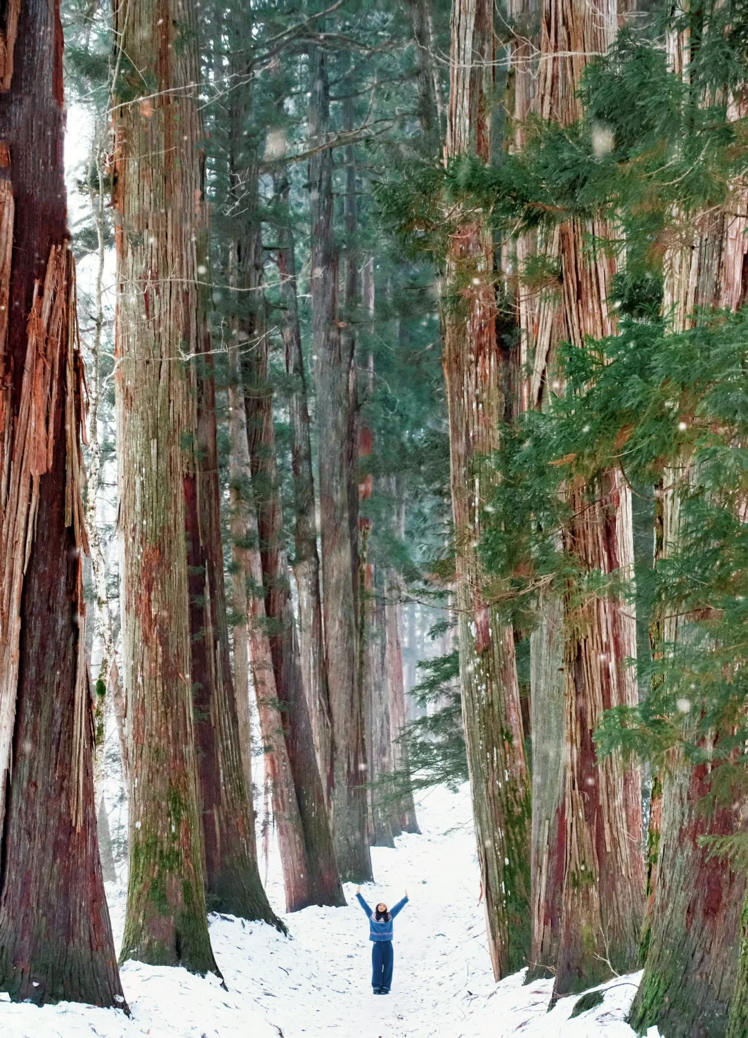 I Snapped 12 Life-Changing Photos in Japan!