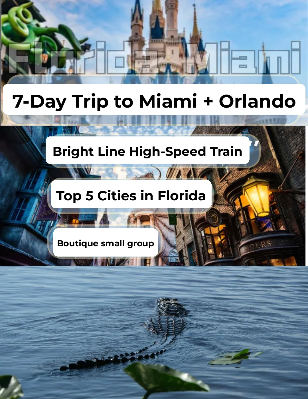 Florida Travel Guide: Miami + Orlando Premium Small Group Tours