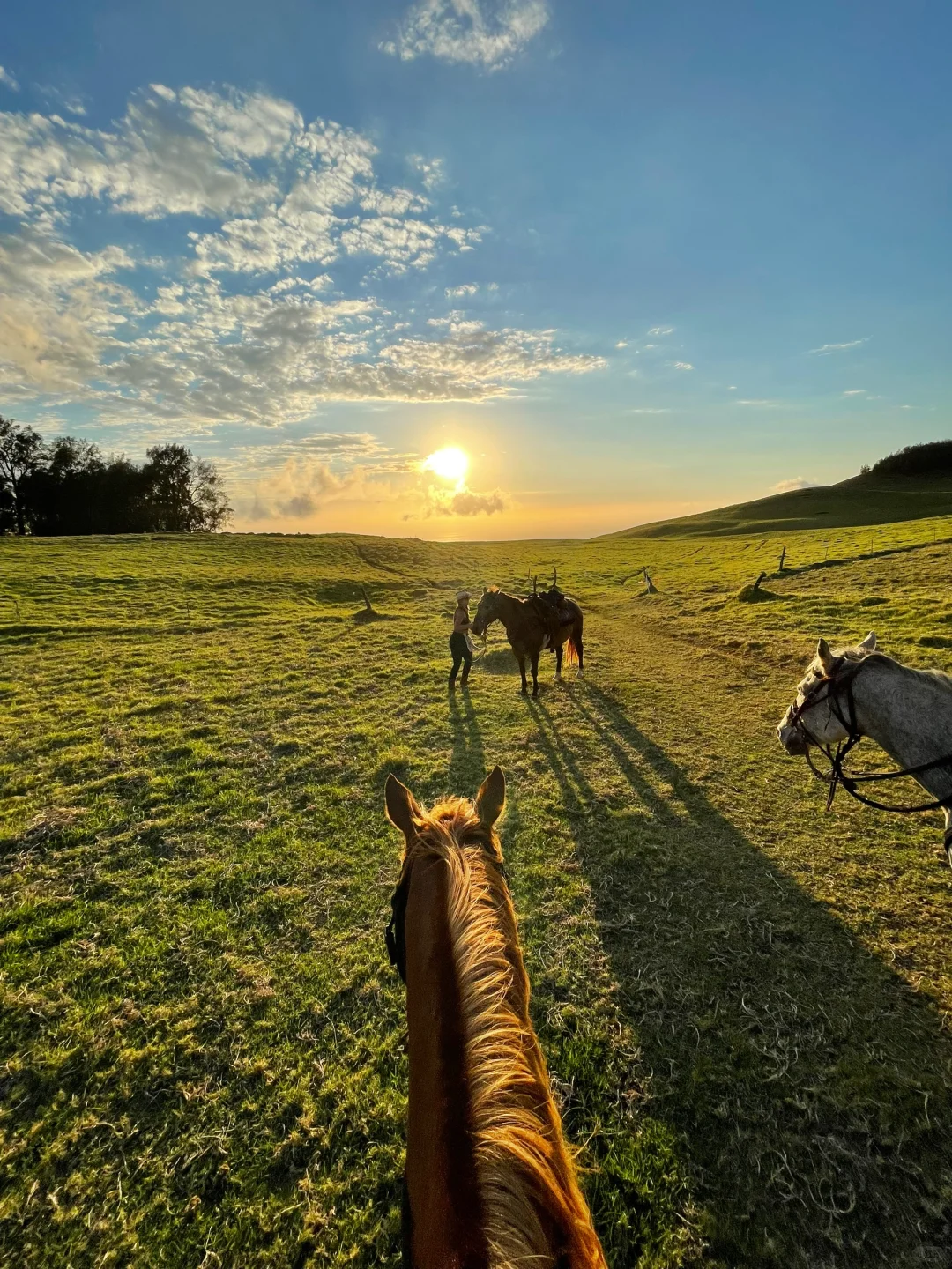 "Hawaii's Big Island 🌴 7 Days, 6 Nights" Island-Wide Tour: North & Surrounding Areas