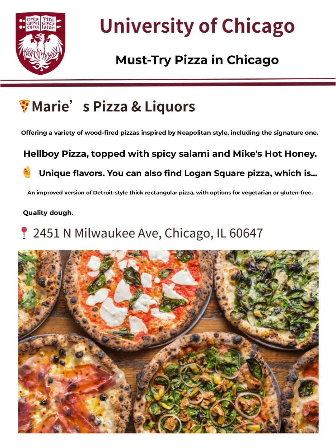 Chicago Pizza Shop Roundup: Foodie International Students Are in Heaven Again!