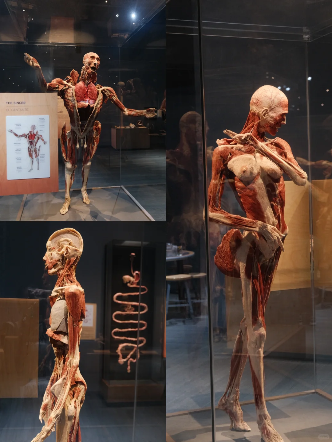 San Jose｜The Tech Interactive in San Jose