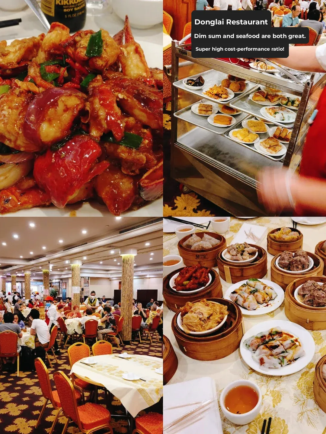 Global Foodie Squad 🌍｜Best Chinese Food in NYC Chinatown