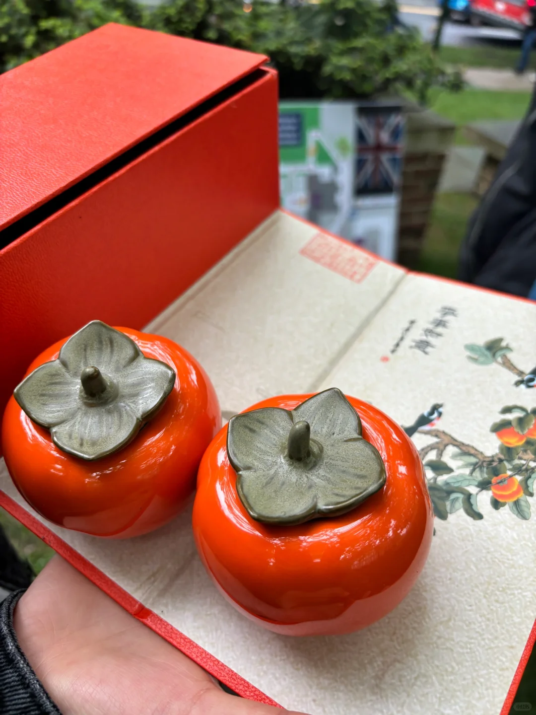 Embassy Open House Day in Washington, D.C. 🌍