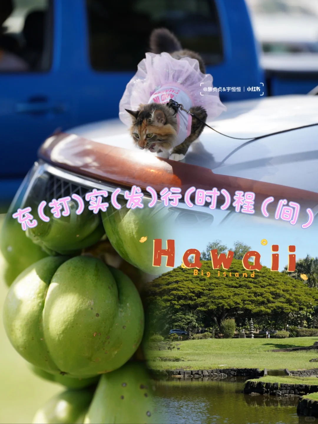 6️⃣ Hidden Gems on the Big Island of Hawaii 🏝 for a Filled-Up Itinerary