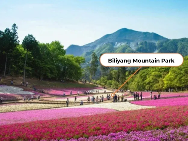 San Francisco's Scenic Spots That Can Compete with LA: 11 Must-Visit Attractions in SF