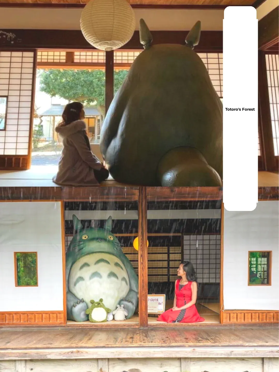 Pilgrimage to the Holy Land | Tokorozawa City, Tokyo Suburbs – A Stroll through "Totoro's Forest"