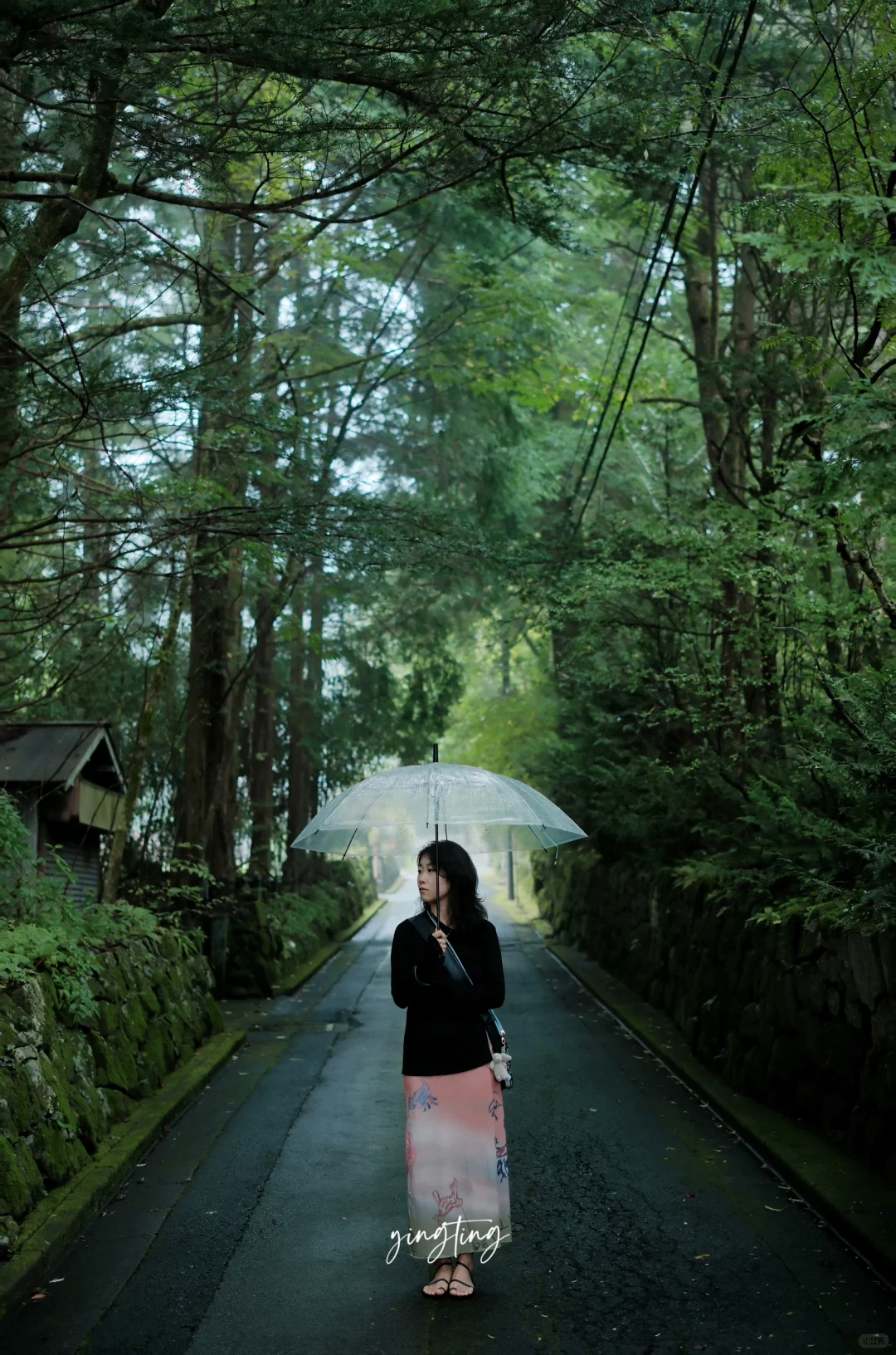 🇯🇵 Rainy Day in Nikko, Looking Forward to Our Next Sunny Reunion