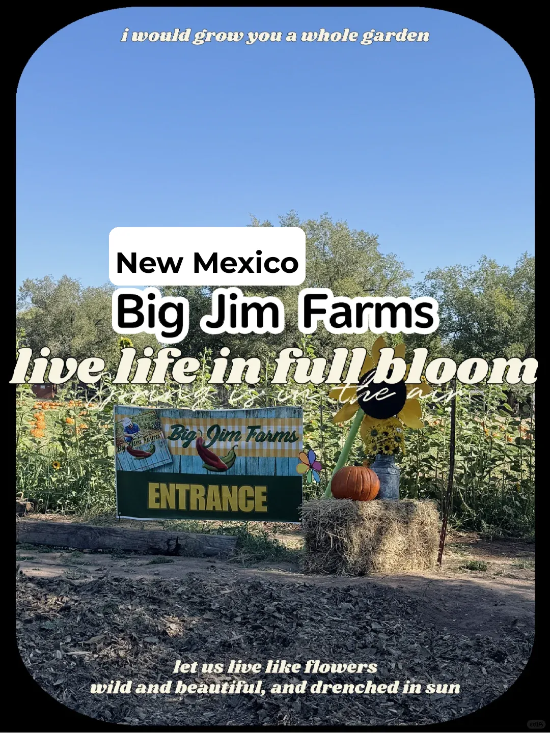 🇺🇸|Big Jim Farms in New Mexico
