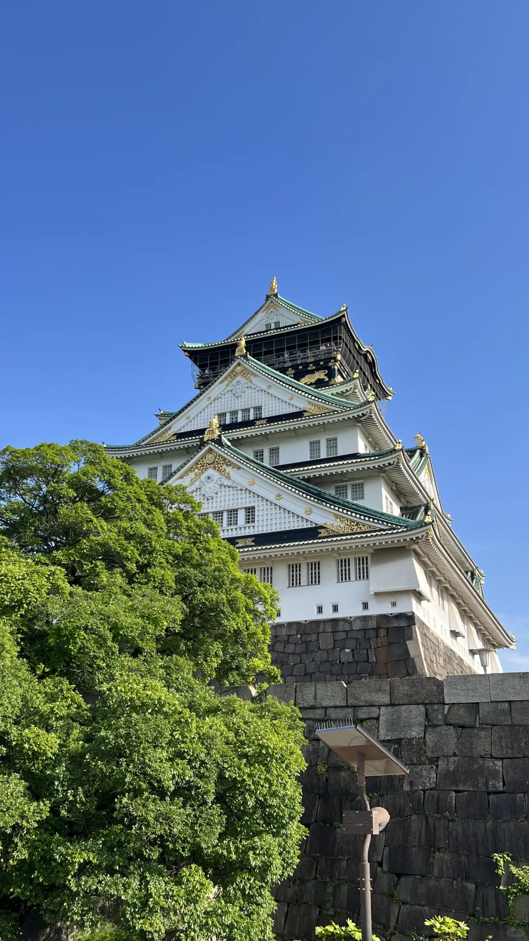 🍁 Autumn Stroll at Osaka Castle Park｜🍞 R Baker Bakery