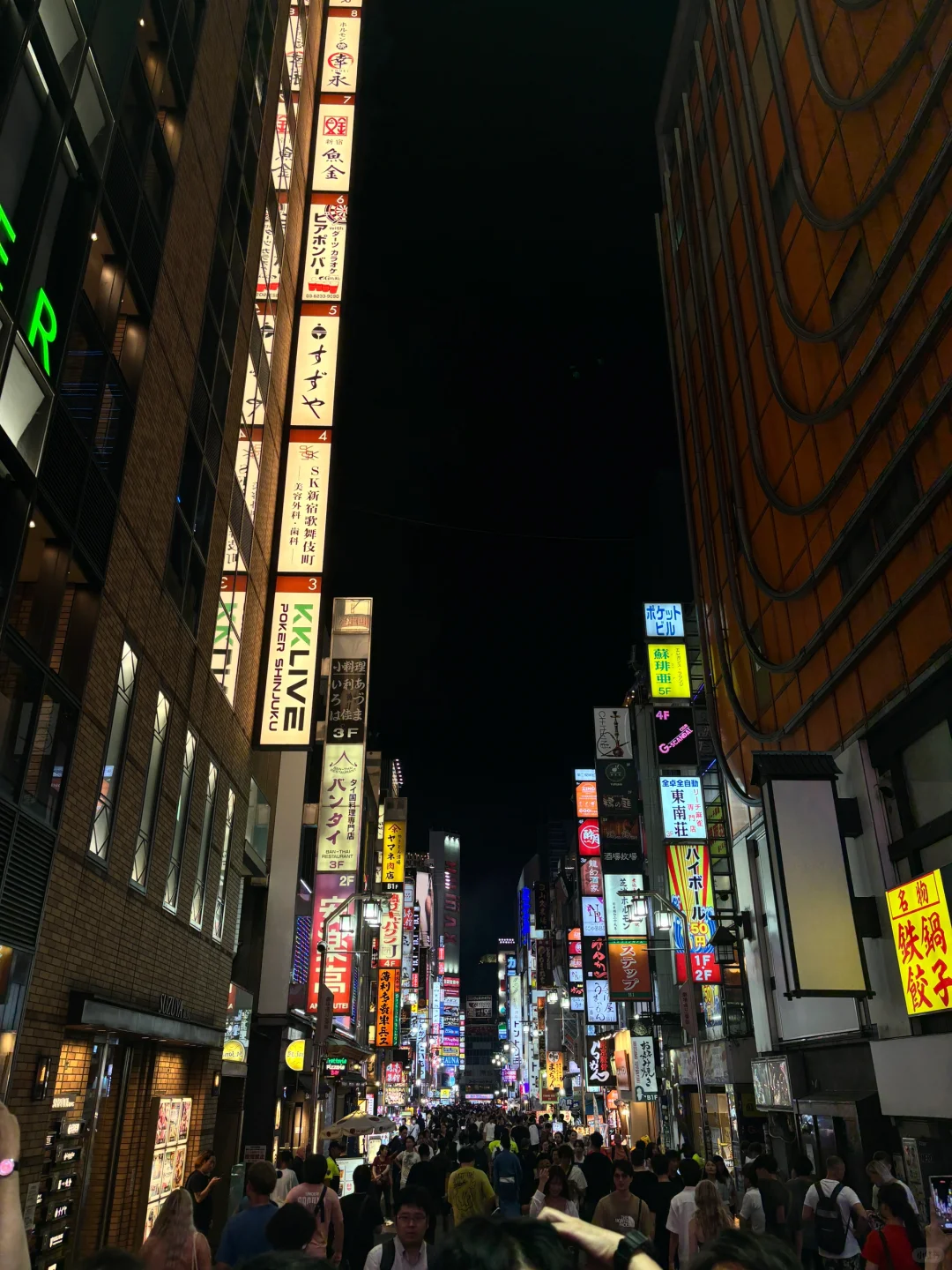 Tokyo Shinjuku | It's Pretty Wild, I Must Say 😅