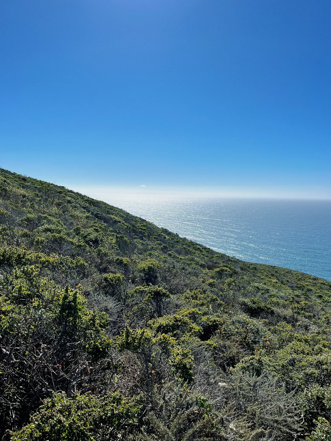 Montara Mountain: Where the Sea Meets the Sky | A Hiking Guide to the Bay Area