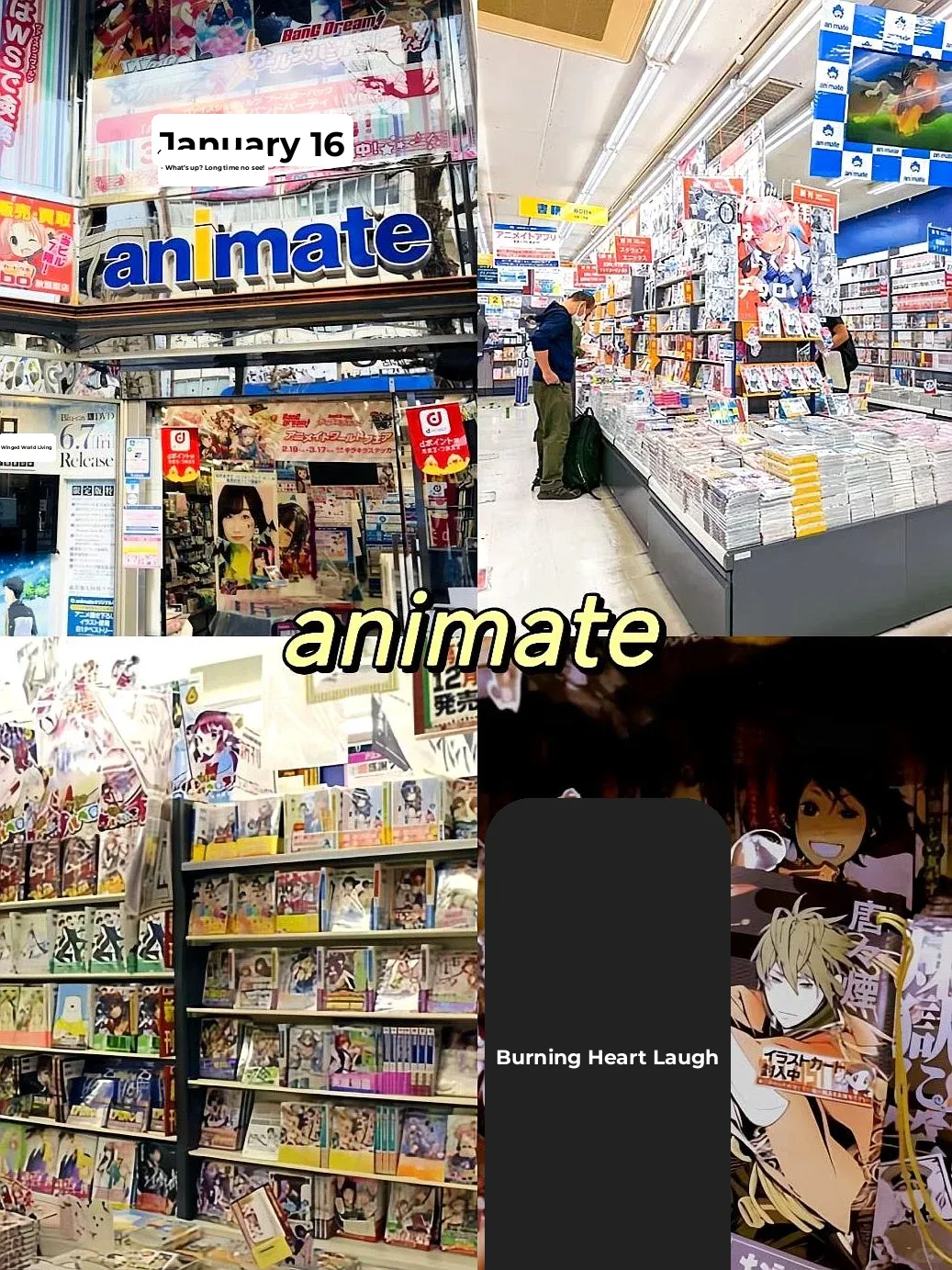 Tokyo Gacha Hunting Guide | Top 8 Must-Visit Spots! ‼️