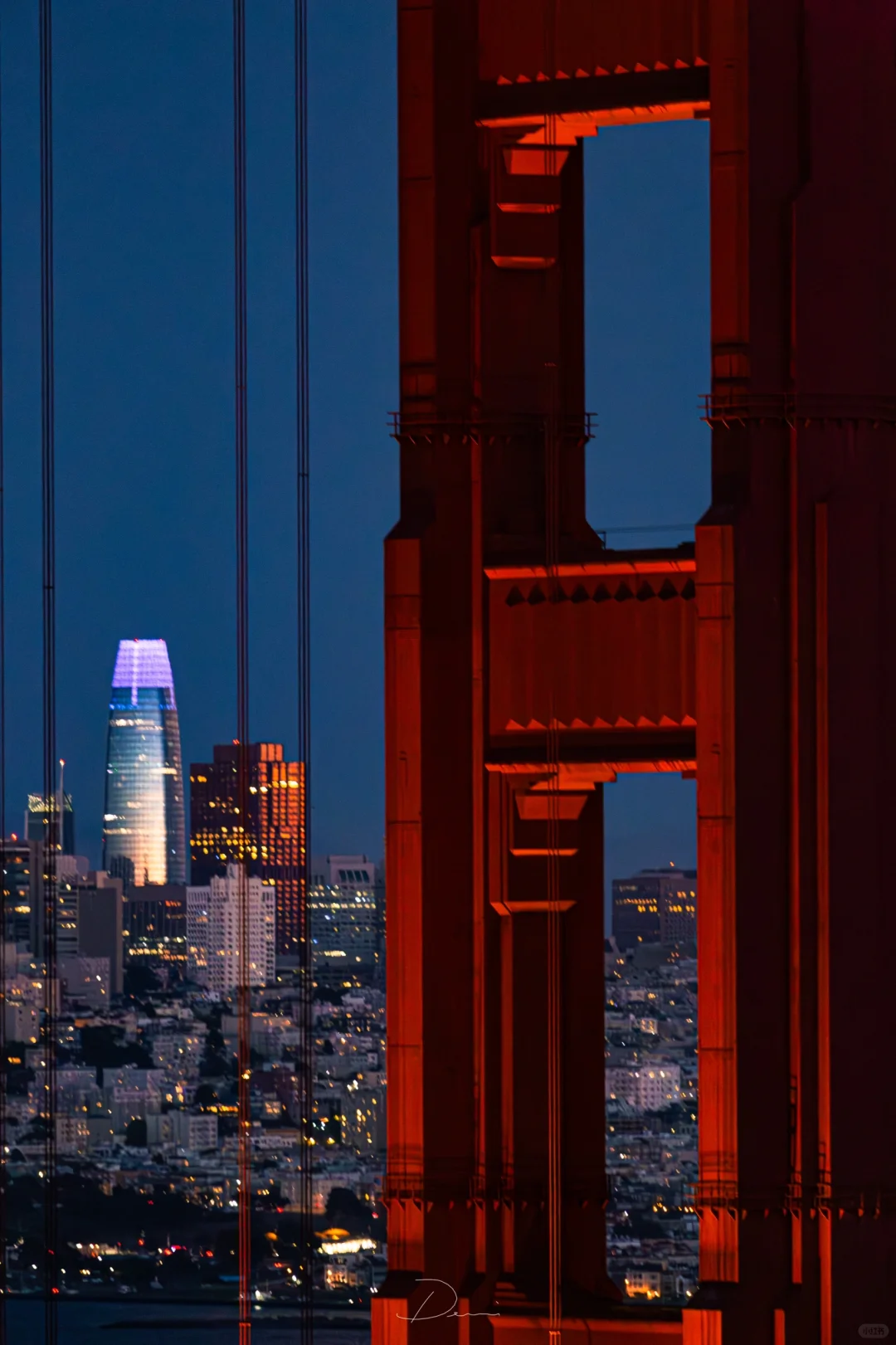 Feeling the Love for SF All Over Again