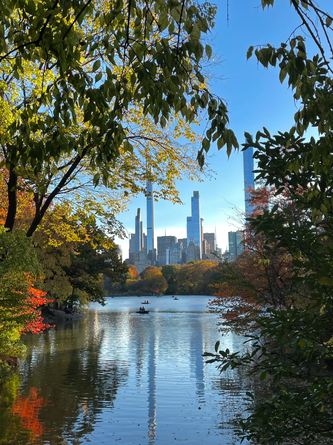 "Head to Central Park in New York ASAP!! Best Spots for Autumn Foliage Viewing Revealed"