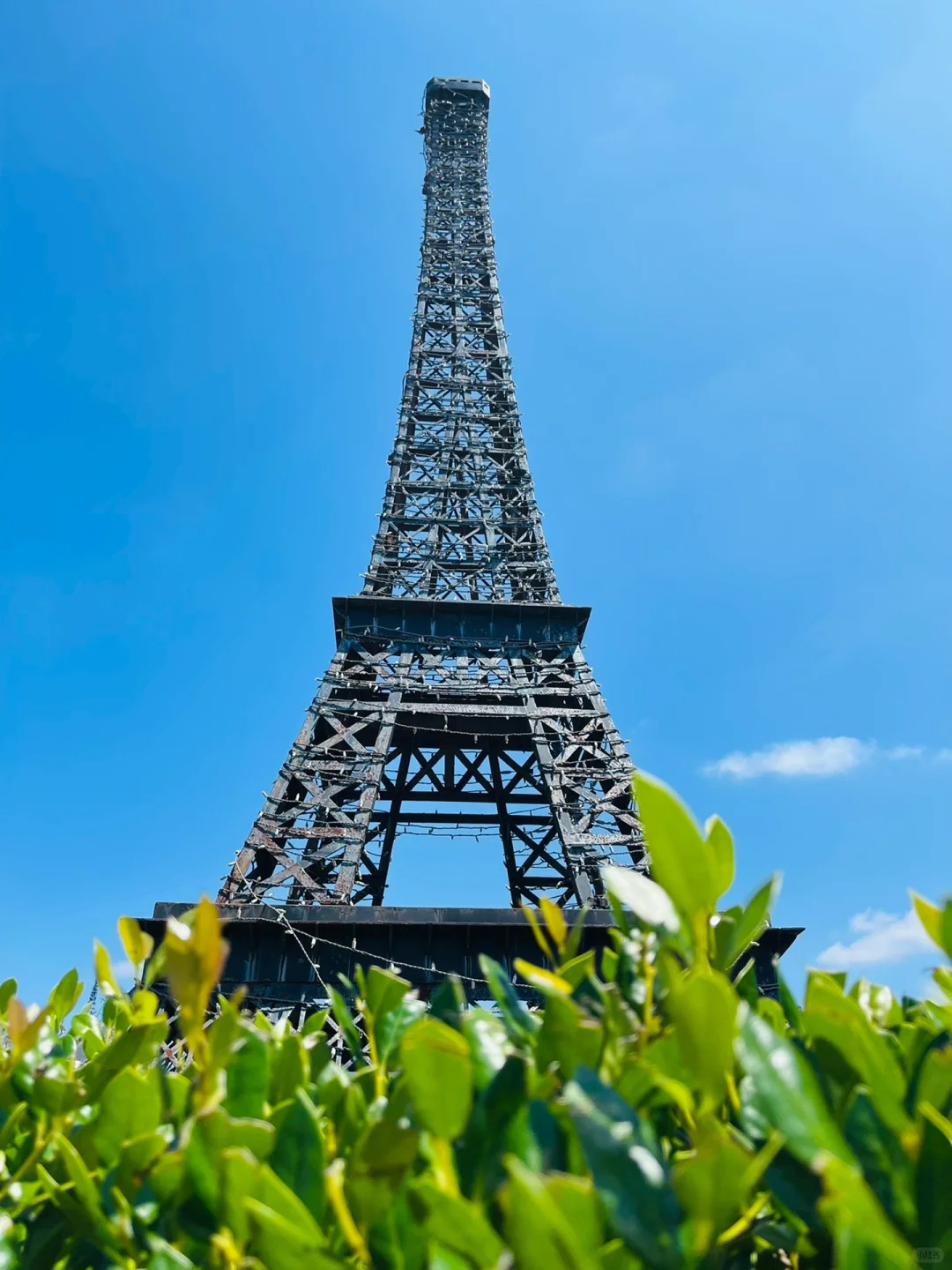 "Day Trip from Charlotte, NC to Raleigh"