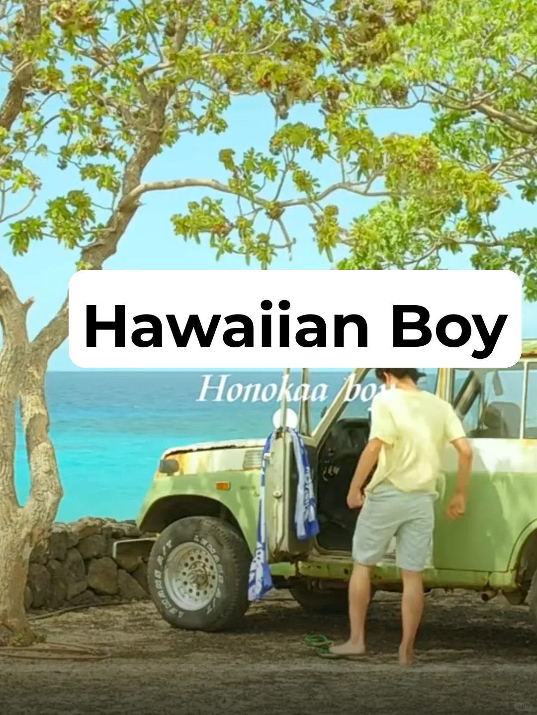 Heartwarming and Healing Film: The Boy from Hawaii