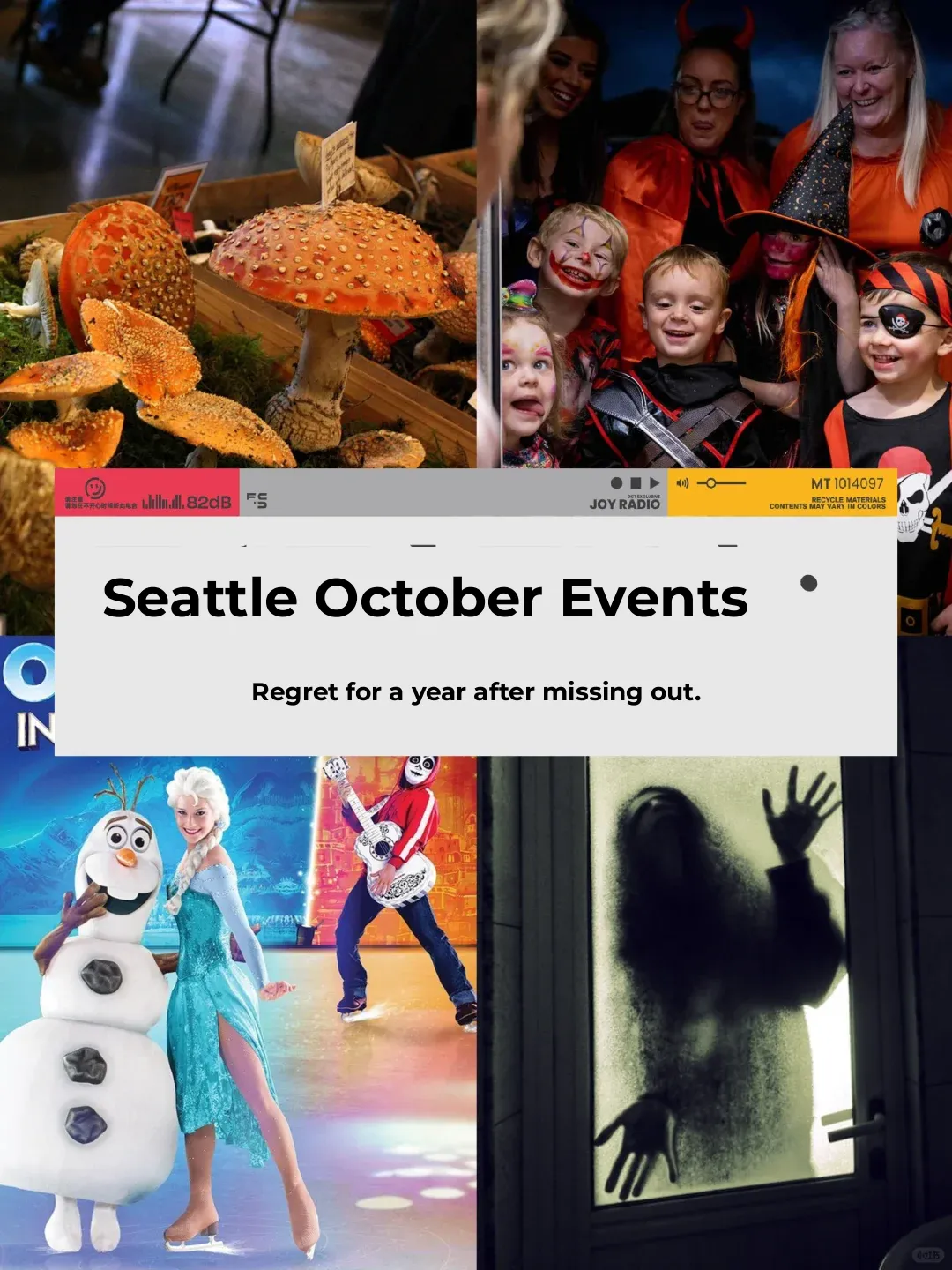 Seattle October Events | Haunted Houses, Mushroom Exhibit, Pumpkin Patch Picking