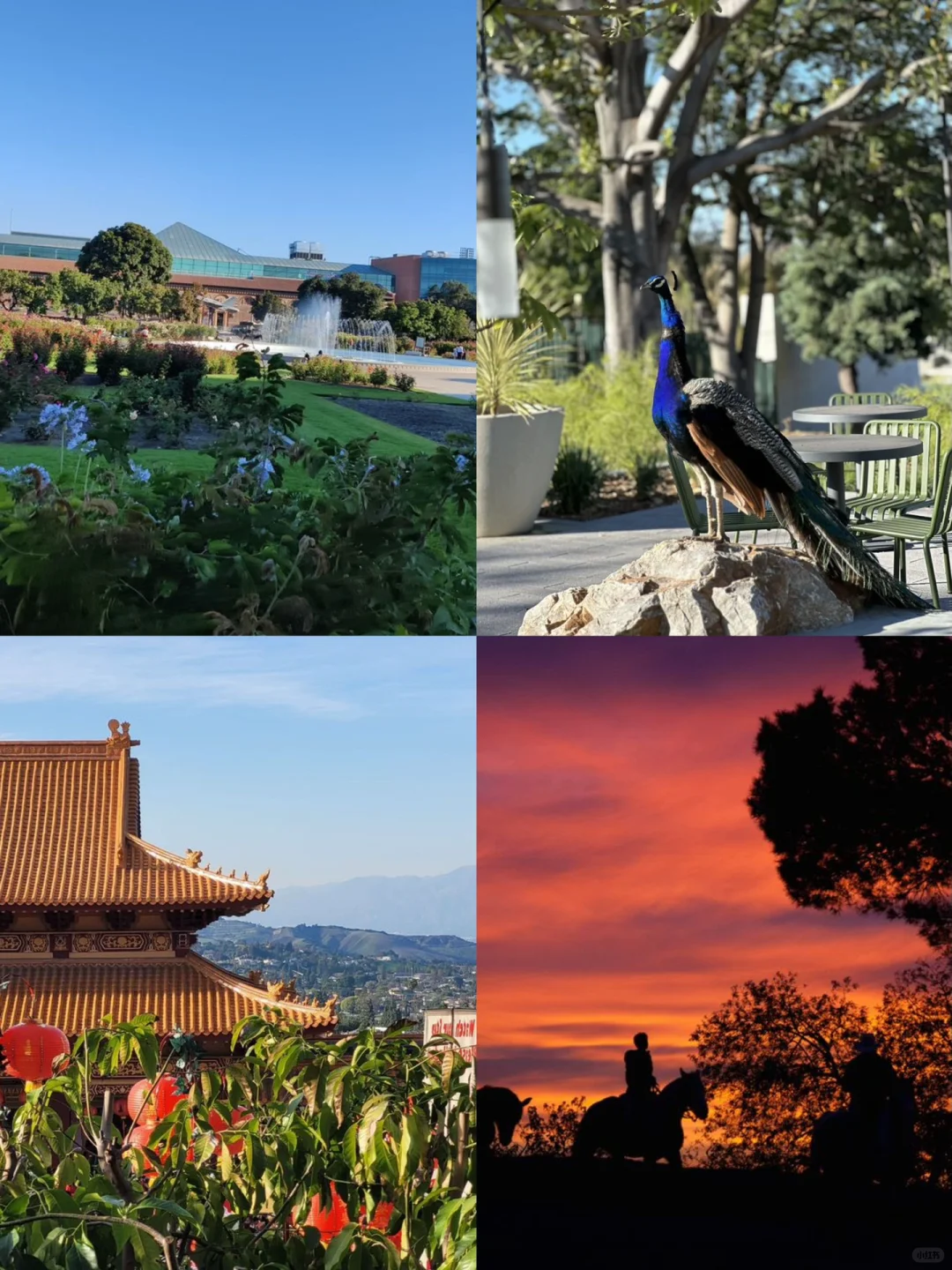 23 Must-Do Activities in LA This Spring ☀️ Perfect for Family Outings and Date Nights!