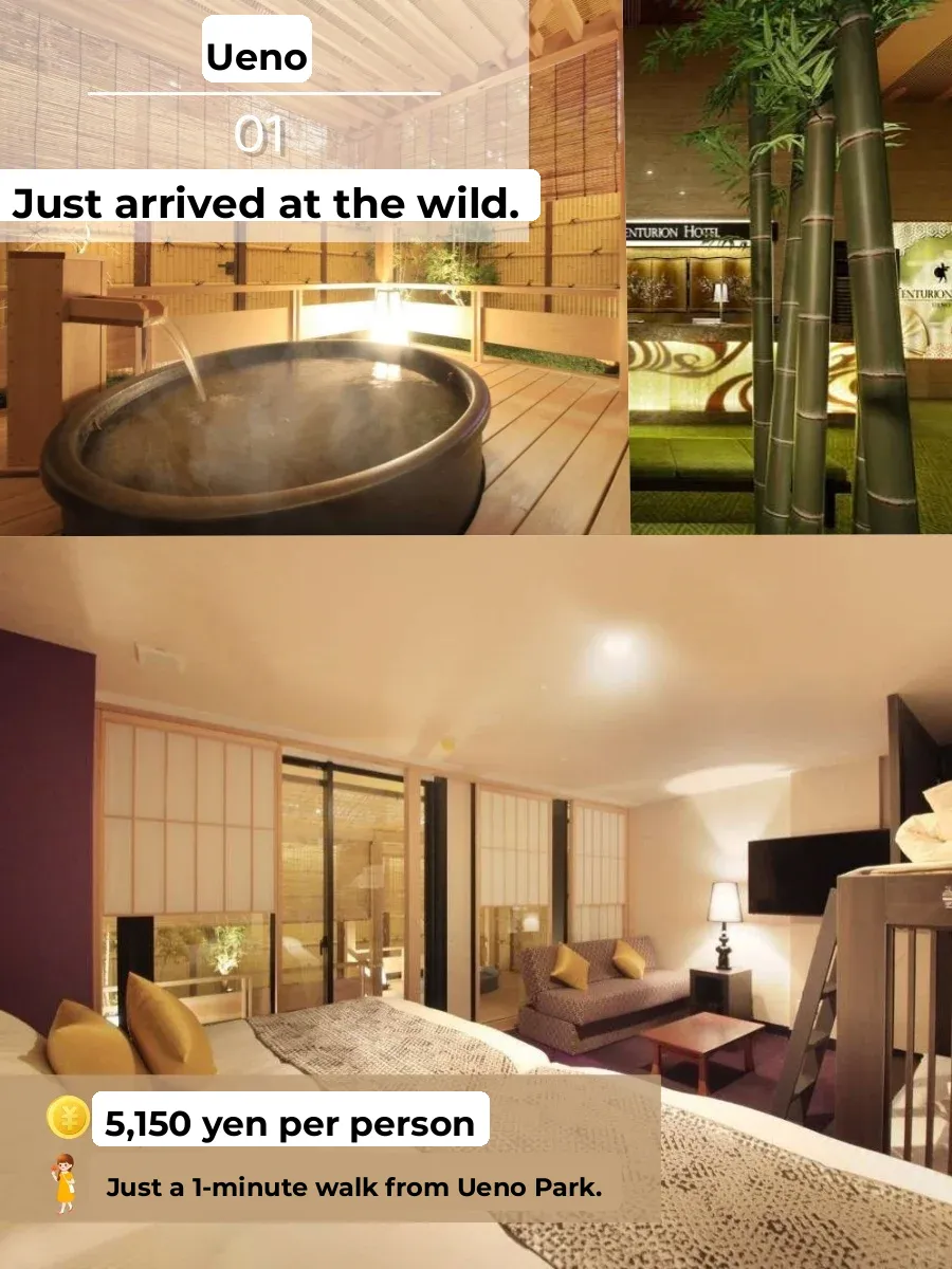 Tokyo, Japan | 8 Cozy Hotels with Private Open-Air Hot Springs - Affordable and Awesome!