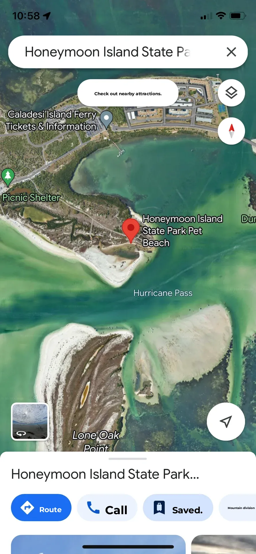 Orlando & Tampa Travelogue with My Dog