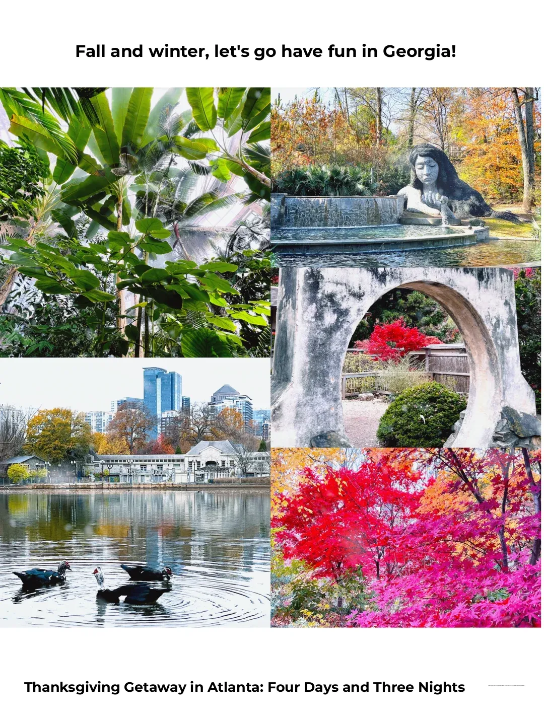 Georgia | Atlanta 4-Day Thanksgiving Round-Trip Travel Guide (Part 2)