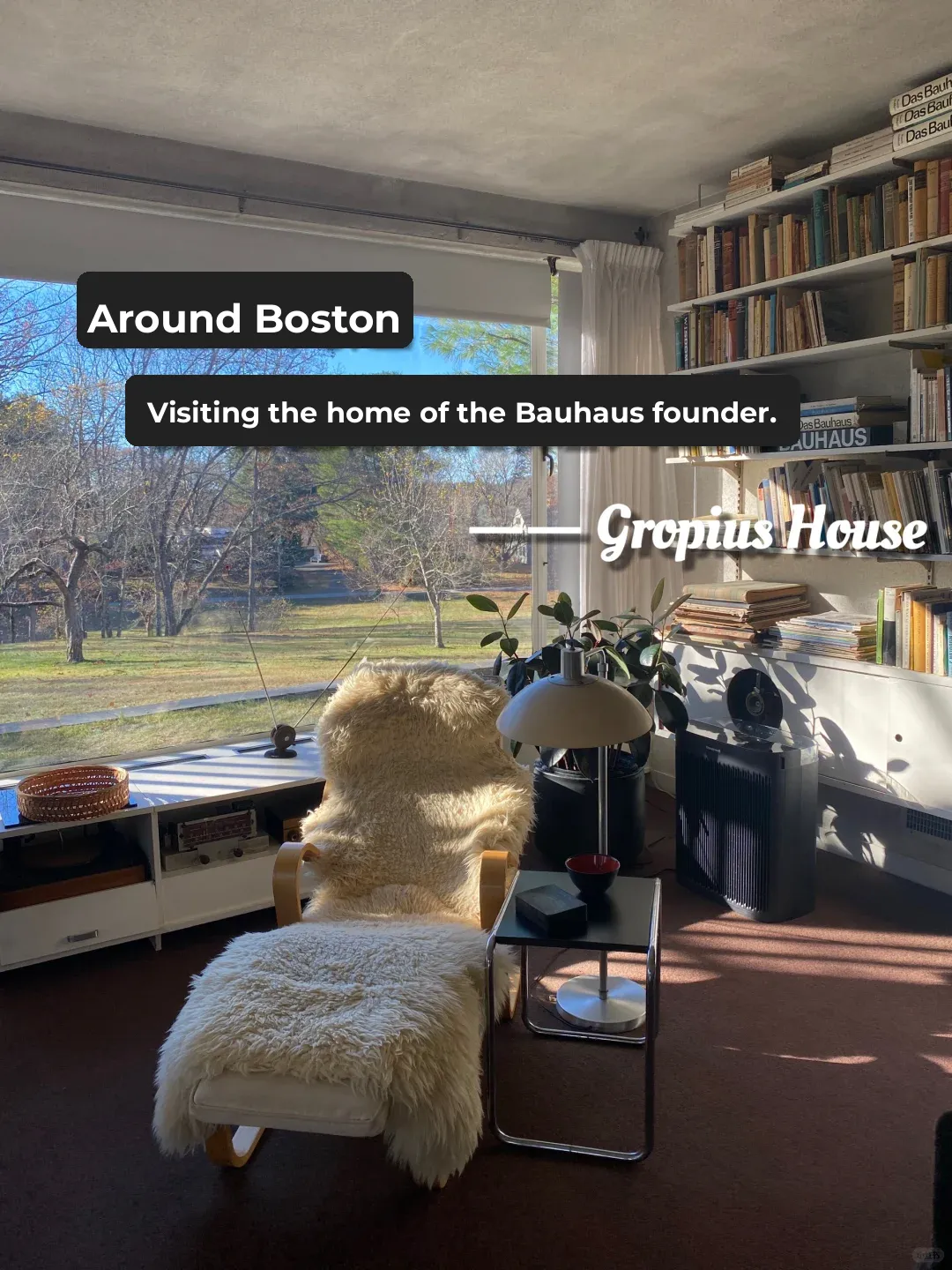 Journey Through Architecture and History: The Home of Bauhaus' Founder