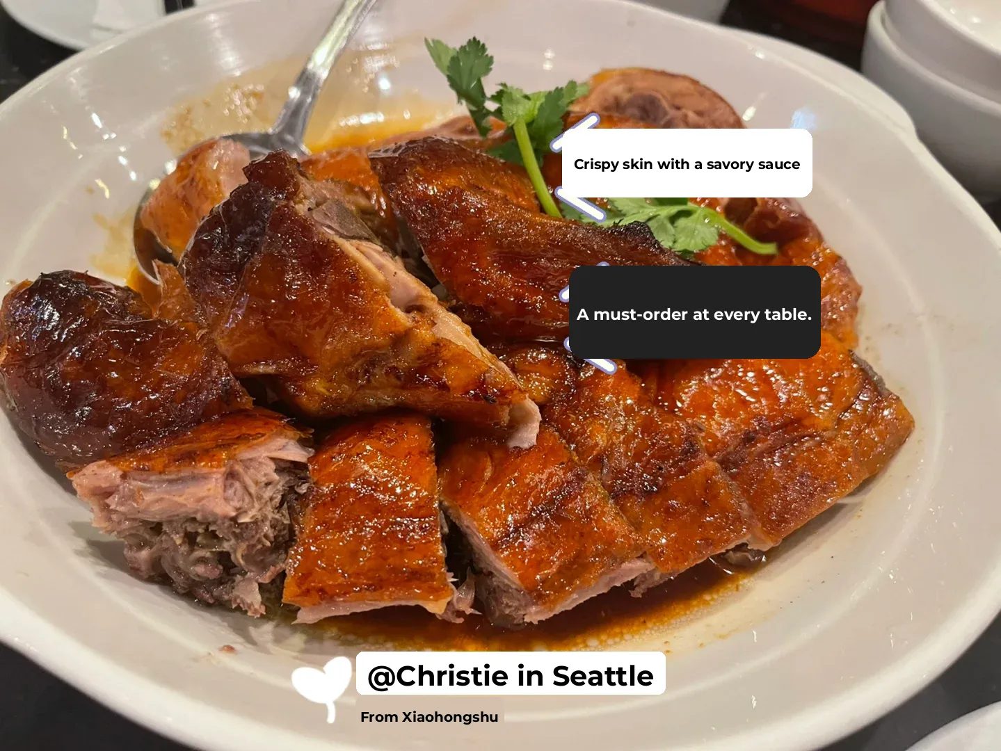 Seattle Food Guide | Affordable Cantonese Restaurant with a Vibrant Street Food Vibe