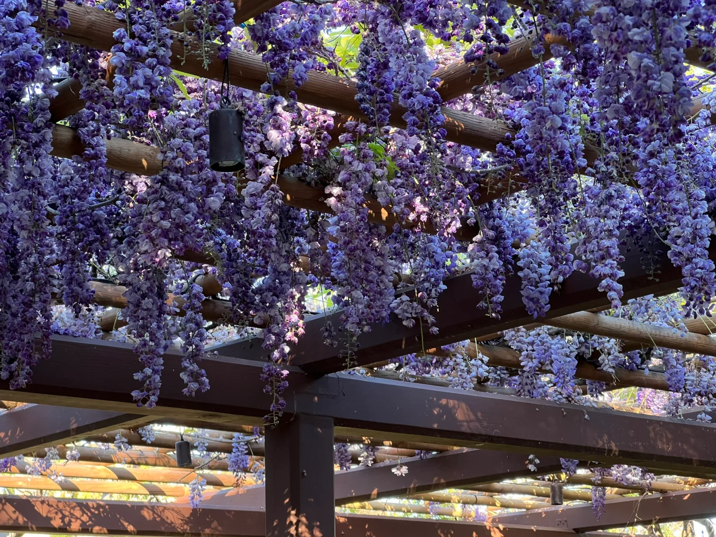 Personal Guide to Eating, Drinking, and Fun in San Diego