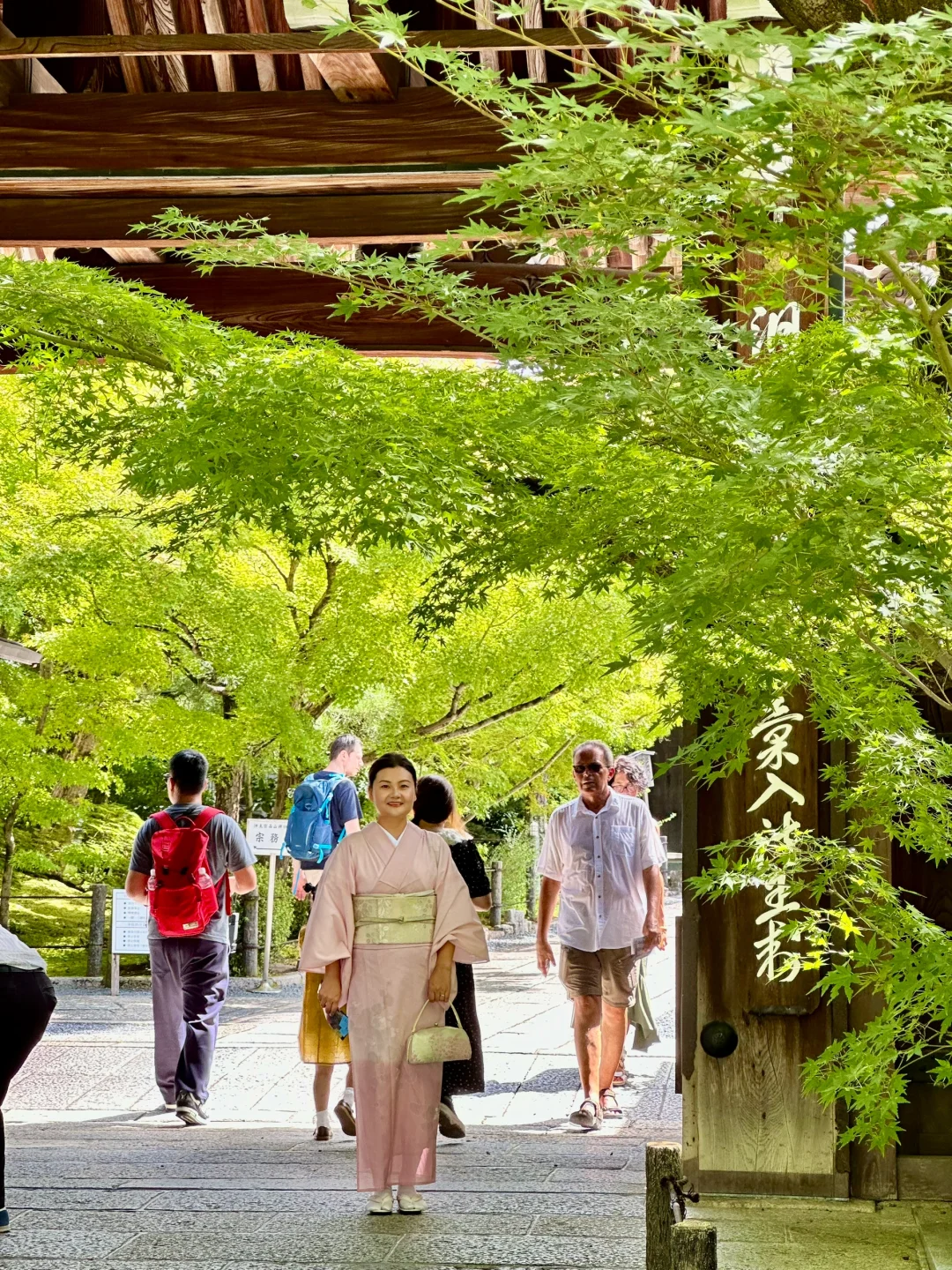 First Time in Kyoto, Spilling the Tea! (Sights, Transport, and Accommodation 🌸)