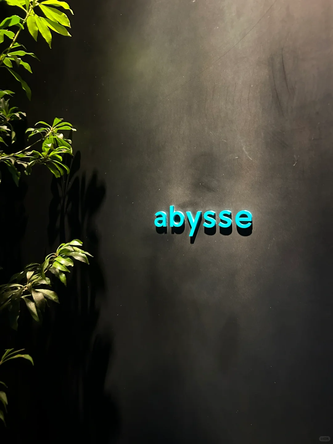 Tokyo | Michelin | Mediterranean Restaurant | Abysse