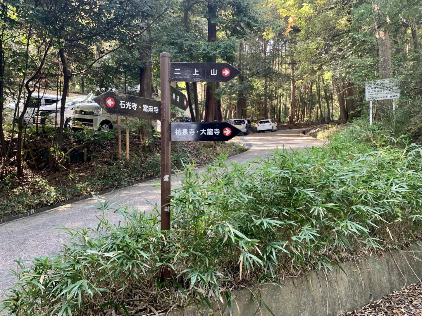 Hiking Trails in Kansai: A Must-Visit Guide