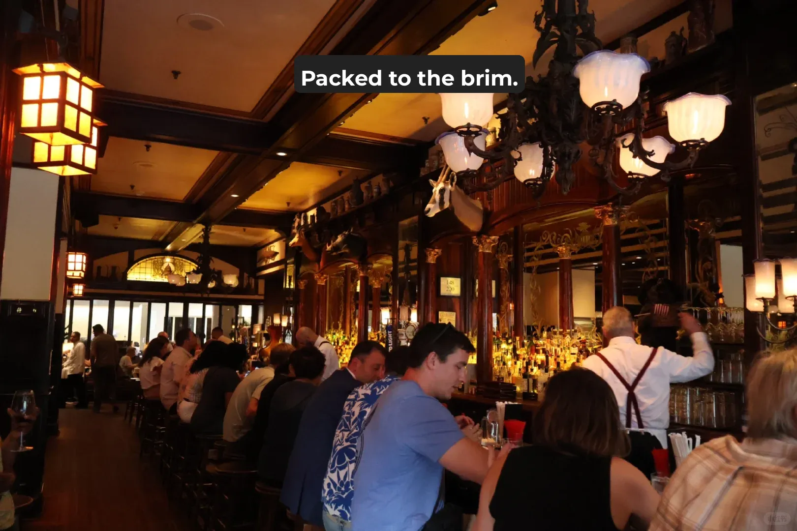 Presidential Dining Spot + Century-Old Eatery | Hidden Culinary Gems in Washington, D.C.